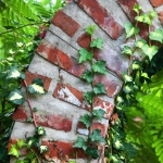 antique-european-bricks-in-yard